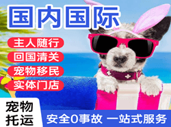 阿尔山航空货运国际宠物托运 【国